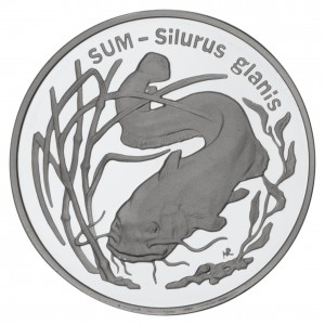 Zwierzęta świata: Sum (łac- Silurus glanis), 20zł rewers